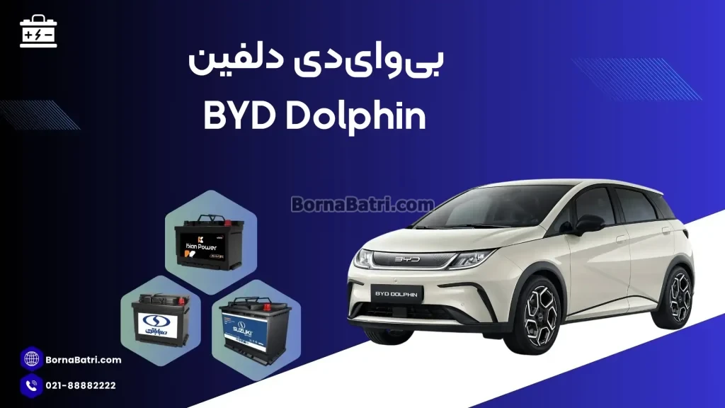بی وای دی دلفین